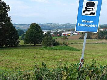 Die Zukunft des Brunnens Pressecklein ist zwar gesichert, dennoch gab es in der außerordentlichen Bürgerversammlung noch einmal viele Fragen. Foto: Archiv/Peter Müller