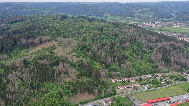 Braune Flecken und kahle Stellen zeichnen den Frankenwald bei Pressig. Foto: Jörg Ermert, FVO