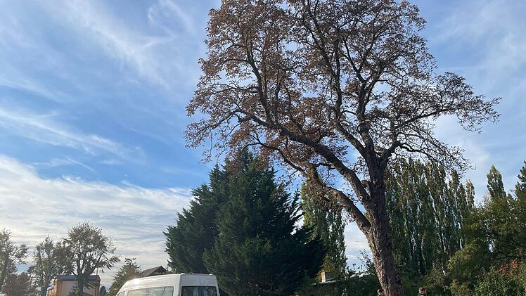 Polizei ermittelt im Fall Rebecca wegen eines Tötungsdelikts