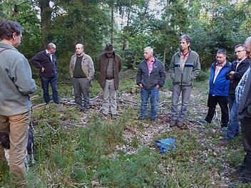 Im Sch&ouml;nauer Gemeindewald informierten sich die Gemeinder&auml;te ausf&uuml;hrlich &uuml;ber den derzeitigen Stand der Waldbewirtschaftung und der naturnahen Pflege durch Forstoberrat Hubert T&uuml;rich vom Amt f&uuml;r Landwirtschaft, Ern&auml;hrung und Forsten (links), sowie dem zust&auml;ndigen Revierf&ouml;rster Michael Heinrich (Vierter von rechts). Manfred Zirkelbach