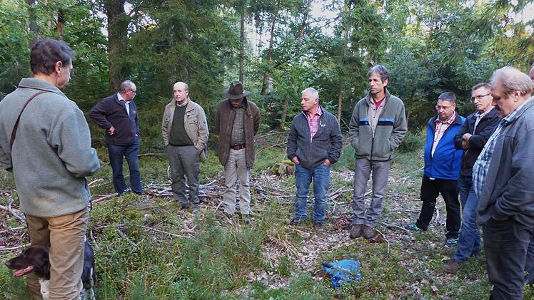 Im Sch&ouml;nauer Gemeindewald informierten sich die Gemeinder&auml;te ausf&uuml;hrlich &uuml;ber den derzeitigen Stand der Waldbewirtschaftung und der naturnahen Pflege durch Forstoberrat Hubert T&uuml;rich vom Amt f&uuml;r Landwirtschaft, Ern&auml;hrung und Forsten (links), sowie dem zust&auml;ndigen Revierf&ouml;rster Michael Heinrich (Vierter von rechts). Manfred Zirkelbach
