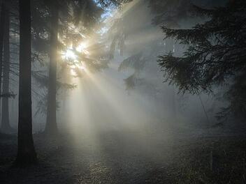 Ein Vater und drei Kinder wollten die Teufelsmühle besuchen, kamen aber nie an und mussten von der Polizei gerettet werden. Symbolfoto: Fotoworkshop4you/pixabay.com