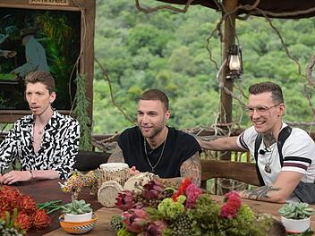 Dschungel-Finalisten