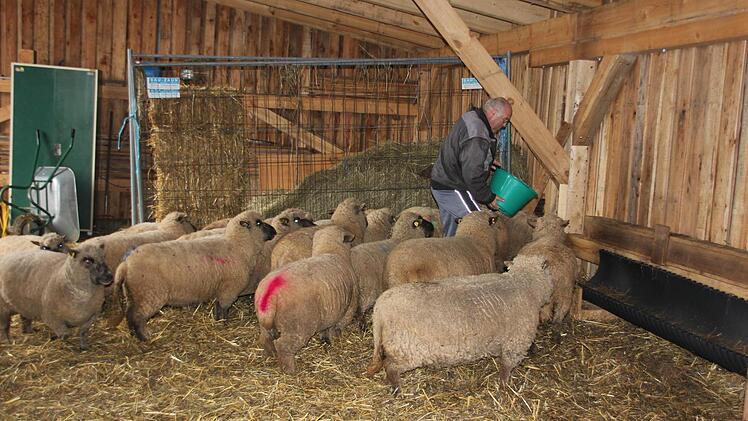 Körner, die beim Ausputzen von Getreide anfallen, gehören zu den Leckerbissen. "Da kommen sie alle und man durchzählen."