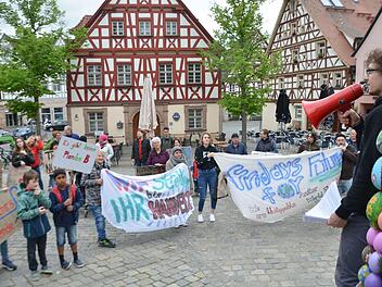 Auch durch die   Bewegung "Fridays for Future" inspiriert (Foto): Die Grünen wollten, dass  die Stadt Herzogenaurach den Klimanotstand ausruft.  Foto: Bernhard Panzer (Archiv)