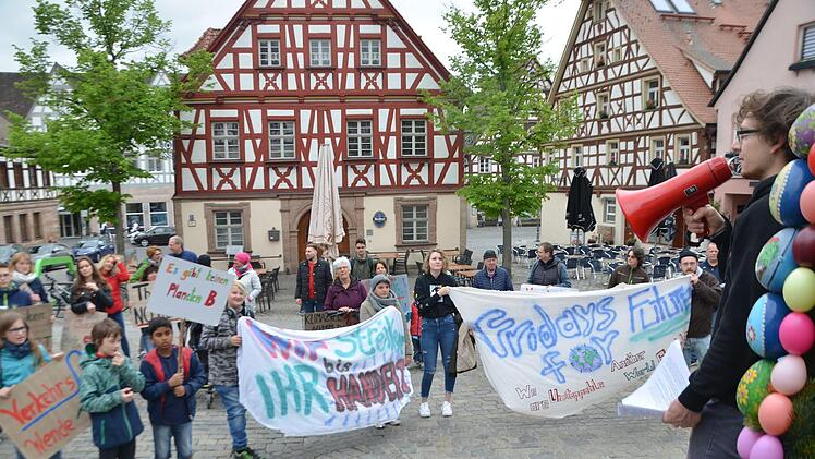 Auch durch die   Bewegung "Fridays for Future" inspiriert (Foto): Die Grünen wollten, dass  die Stadt Herzogenaurach den Klimanotstand ausruft.  Foto: Bernhard Panzer (Archiv)