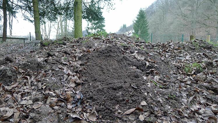 Der Erdaushub sitzt als gewaltiger Berg in der hintersten Gartenecke. Wir schaffen ihn nicht weg, sondern werden ihn später für weitere Projekte verwenden. Foto: Dagmar Besand