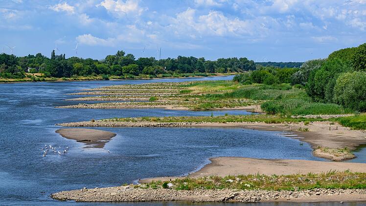 Niedrigwasser im Grenzfluss Oder