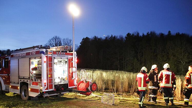 Foto: News5/Merzbach