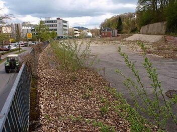 Auf dem Gelände der früheren Brauerei Sturm an der Callenberger Straße soll ein Seniorenpflegeheim mit 169 Betten Plätzen entstehen. Die Bauarbeiten für das Heim beginnen noch in diesem Jahr, war aus der Bauverwaltung zu erfahren. Foto: Christoph Winter/Archiv
