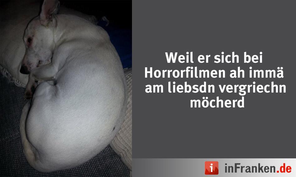Foto: Marlies Hlenschi