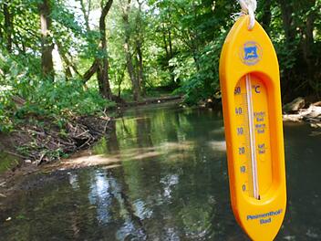 Die Temperaturen in den Bächen und Flüssen im Landkreis steigen durch die anhaltende Hitze und das Niedrigwasser. Noch können die Fische damit leben. Heike Beudert
