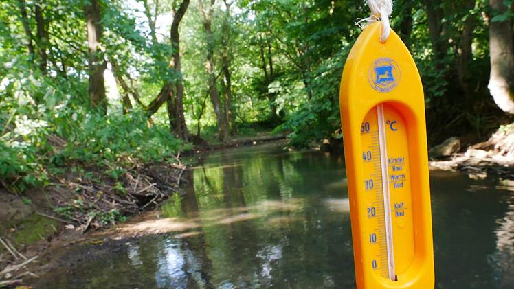 Die Temperaturen in den Bächen und Flüssen im Landkreis steigen durch die anhaltende Hitze und das Niedrigwasser. Noch können die Fische damit leben. Heike Beudert