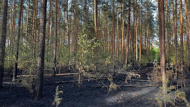 Strullendorf: Waldbrand im Landkreis Bamberg - "Wären nicht zurechtgekommen"