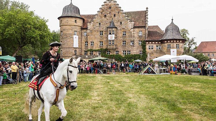 Barock-Dressur vor historischer Kulisse. Lauchito in Aktion.Foto: Rudi Hein