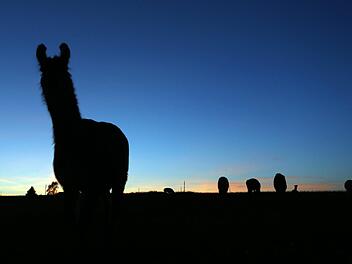 In Franken bleibt es ungem&uuml;tlich, aber das n&auml;chste Hoch ist in Sicht: Das ist die Wetterprognose f&uuml;r Franken. Foto: Karl-Josef Hildenbrand/dpa