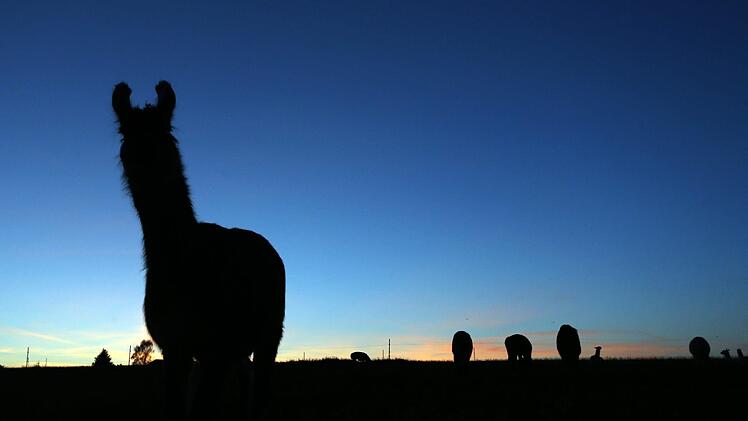 In Franken bleibt es ungem&uuml;tlich, aber das n&auml;chste Hoch ist in Sicht: Das ist die Wetterprognose f&uuml;r Franken. Foto: Karl-Josef Hildenbrand/dpa