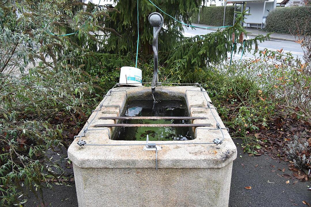 28.01.2016 Fotoreportage Rögen