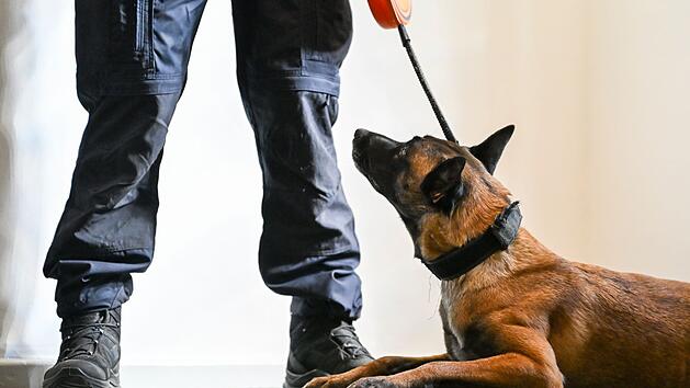 Vorstellung der ersten justizeigenen Datentr&auml;gersp&uuml;rhunde