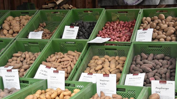 Sie haben oft wohlklingende Namen wie "Schwarze Ungarin", "Rote Emmalie", "Mayan Twilight" oder "Juliette": Der Kartoffelvielfalt scheinen keine Grenzen gesetzt. Foto: Uschi Prawitz
