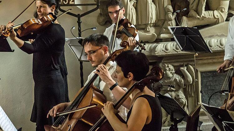 Zahlreiche Zuhörer lockte die Serenade mit dem Collegium musicum Coburg in die Schlosskirche Ahorn. Foto: Jochen Berger