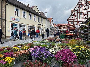 Die schönsten Fotos vom verkaufsoffenen Sonntag in Forchheim
