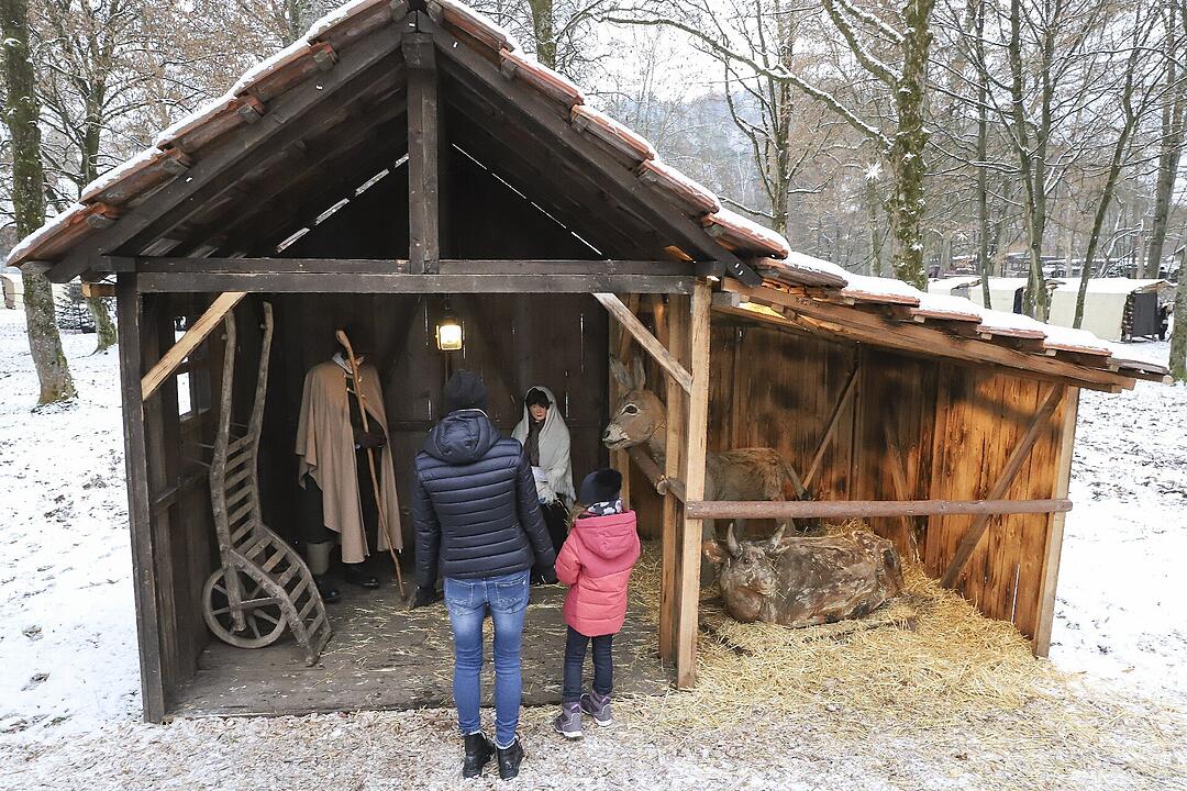 Über 100 Aussteller waren vor Ort.