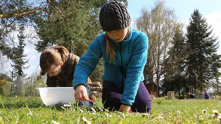 Im Garten von BR-Redakteurin Dagmar Besand gab es für die Kids der Juniorakademie reichlich wilde Kräuter zu entdecken. Jule Günther und Maja Herrmann sind konzentriert bei der Arbeit. Foto: Barbara Herbst