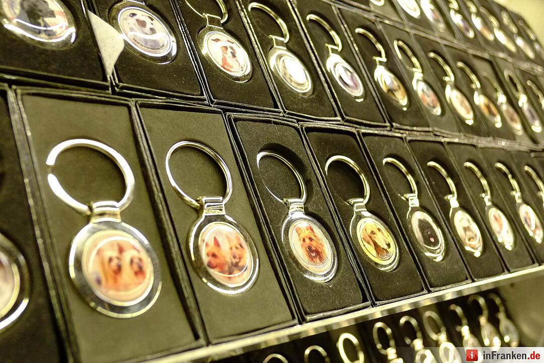 43. Internationale Rassehundeausstellung (Cacib) in Nürnberg