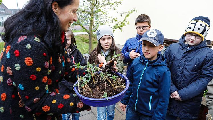 Impressionen vom Pflanztag an der Theodor-Heublein-Schule Foto: Matthias Hoch