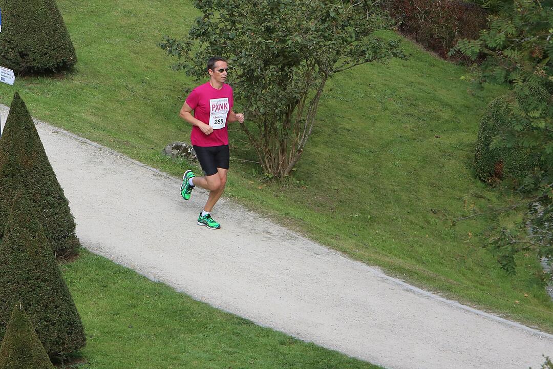 Pinklauf 2015