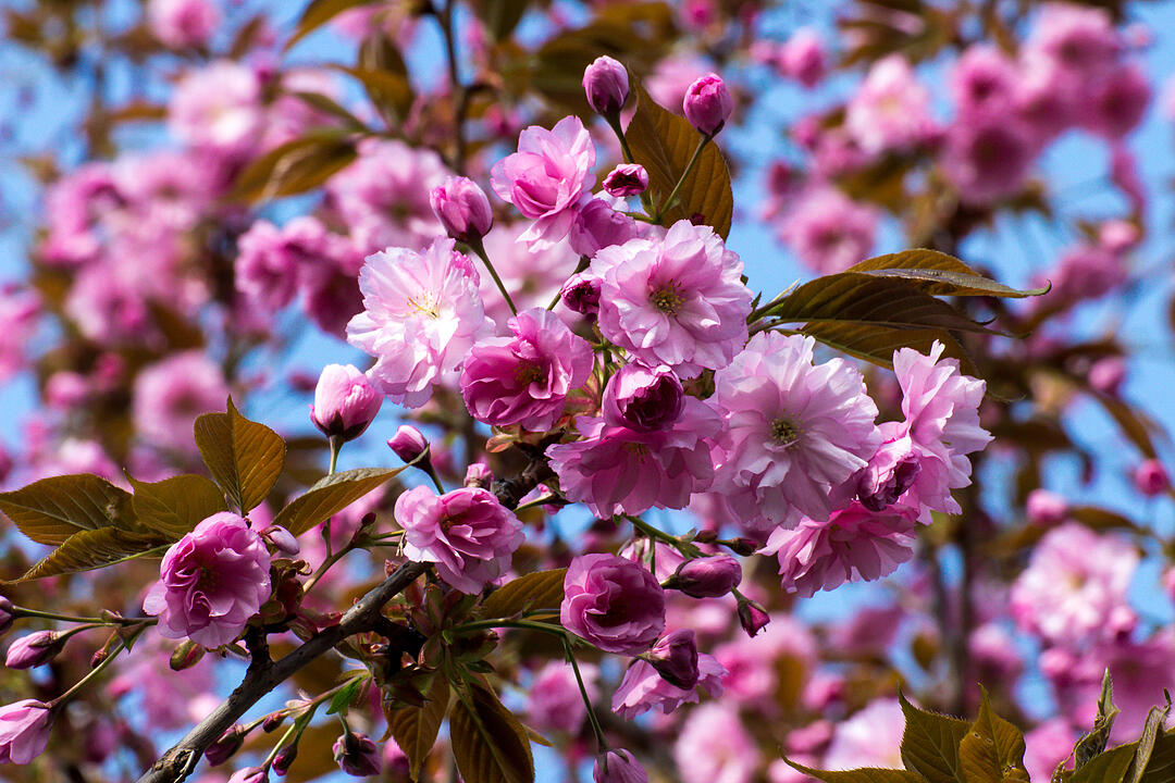 Fotos Konrad Thomann