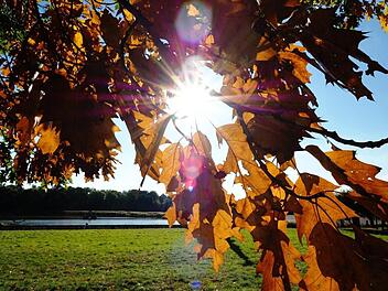 Goldenes Herbstwetter in Franken? Zumindest am Freitag sieht es gut aus. Am Wochenende besteht noch Unsicherheit. Foto: Grasser Markus/inFrankenPix