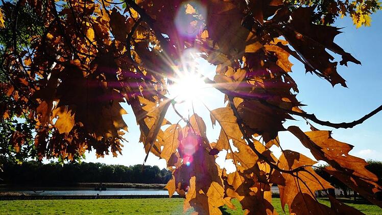 Goldenes Herbstwetter in Franken? Zumindest am Freitag sieht es gut aus. Am Wochenende besteht noch Unsicherheit. Foto: Grasser Markus/inFrankenPix