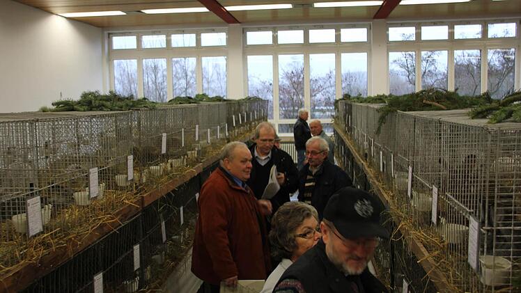 Ausstellungsleiter Kurt Schmidt (links) führte durch die Ausstellung.