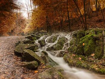 Symbolbild Herbst Foto: Andre-M-Photography via InFrankenPix