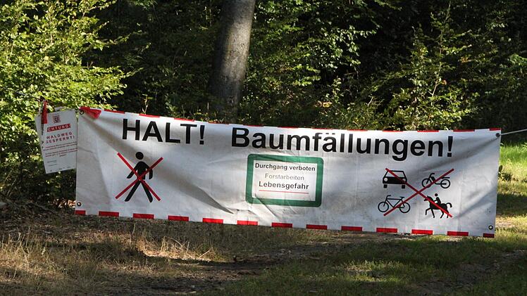 Die Mottener Haube ist ein beliebtes Ausflugsziel in der Region. Doch der Wald ist ausgetrocknet. Deshalb sind aktuell die Wege gesperrt. Foto: Ulrike Müller