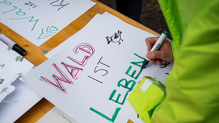 Ludwigsstadt im Frankenwald: Klimasch&uuml;tzer-Aktion gegen Waldsterben und Klimakrise
