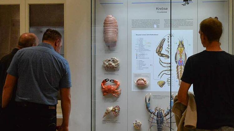 Coburg leuchtet bei der Museumsnacht 2014. Foto: Ronald Rinklef