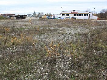 Nicht verwirklichen kann der Bauunternehmer Martin Schramm seinen Plan, auf seinem 17 788 Quadratmeter großen Gelände an der Oberauer Straße in Bad Staffelstein ein Asylbewerberwohnheim zu bauen. Das verhindern der Aufstellungsbeschluss des Stadtrates und die erlassene Veränderungssperre.  Foto: Matthias Einwag