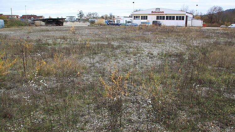 Nicht verwirklichen kann der Bauunternehmer Martin Schramm seinen Plan, auf seinem 17 788 Quadratmeter großen Gelände an der Oberauer Straße in Bad Staffelstein ein Asylbewerberwohnheim zu bauen. Das verhindern der Aufstellungsbeschluss des Stadtrates und die erlassene Veränderungssperre.  Foto: Matthias Einwag