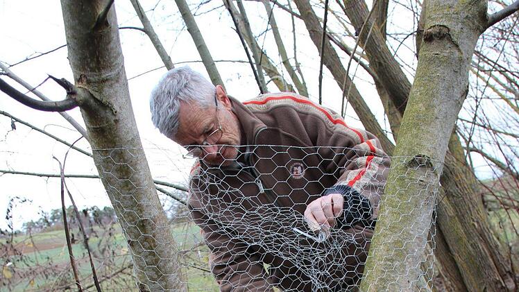 Bilder von der Teichanlage des ASV Hammelburg oberhalb von Obereschenbach. Foto: Ralf Ruppert