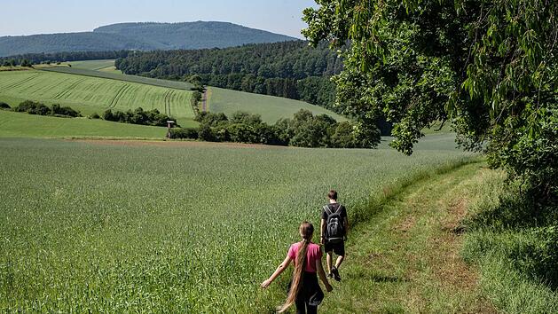 Den Sodenberg im Blick, führt der Weg durch die  Windheimer Flur. Foto: Jürgen Hüfner