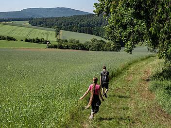 Den Sodenberg im Blick, führt der Weg durch die  Windheimer Flur. Foto: Jürgen Hüfner