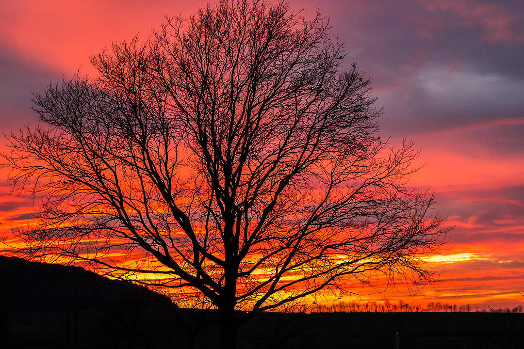 Fotos Konrad Thomann