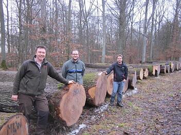 Fabian Menzel, Geschäftsführer der Forstbetriebsgemeinschaft Rhön-Saale, Berater Benjamin Winter und Betriebsleiter Matthias Wallrapp vom Forst des Julius-Spitals sind stolz über die erzielen Holzpreise bei der diesjährigen Submission. Foto: FBG
