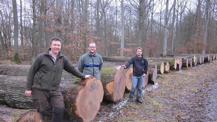 Fabian Menzel, Geschäftsführer der Forstbetriebsgemeinschaft Rhön-Saale, Berater Benjamin Winter und Betriebsleiter Matthias Wallrapp vom Forst des Julius-Spitals sind stolz über die erzielen Holzpreise bei der diesjährigen Submission. Foto: FBG