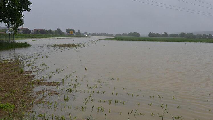 Hochwasser bei Hirschaid. Foto: Ronald Rinklef