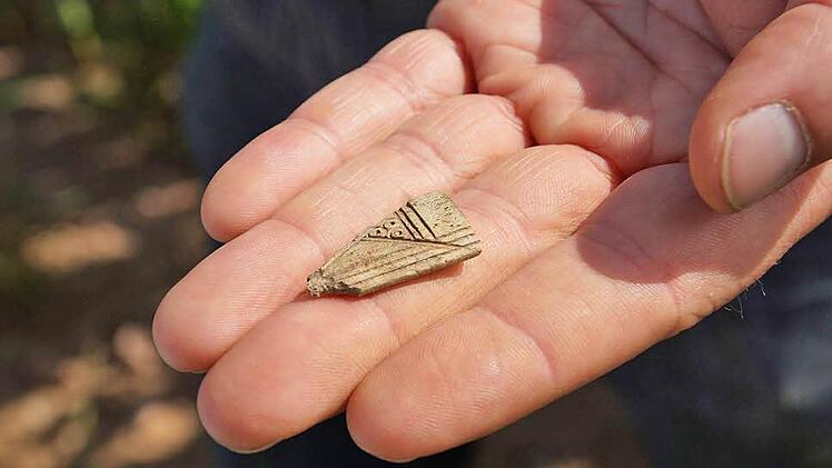 Bruchstück eines Kamms aus dem 10. Jahrhundert Fotos: Arkadius Guzy