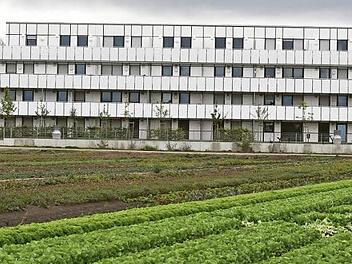 Am Rande der Gärtnerflächen in Bamberg-Nord steht das neu gebaute Wohnheim der Baugenossenschaft. Dort sehen sich nicht studierende Mieter überraschend mit einer Kündigung konfrontiert.  Foto: Ronald Rinklef
